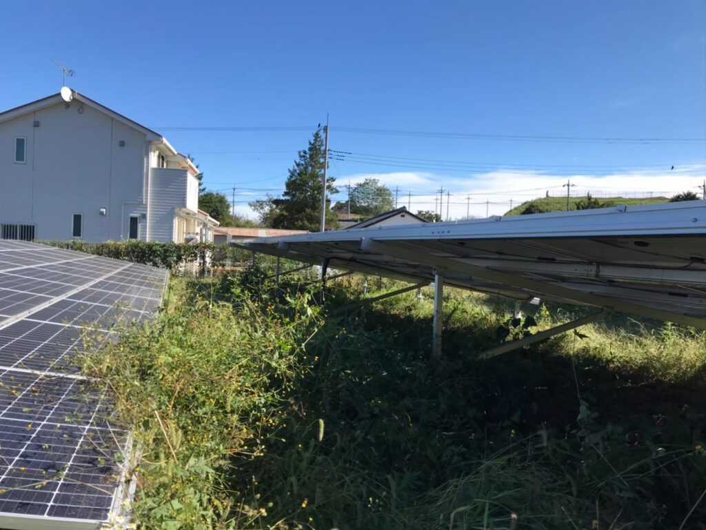 群馬県太田市 除草作業前2