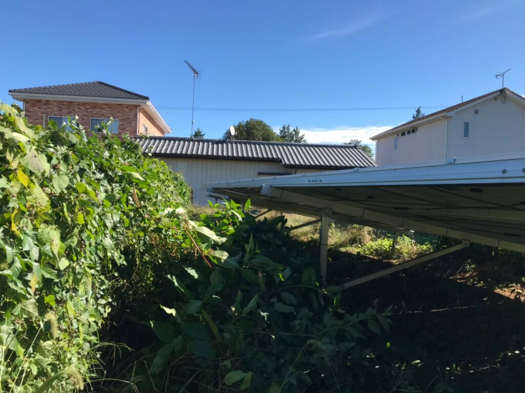 群馬県太田市 除草作業前3