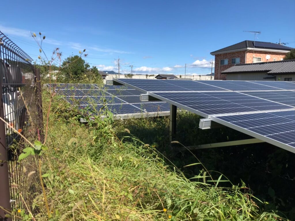 群馬県太田市 除草作業前4
