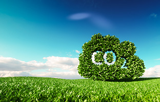 
                            環境へのメリット（C02排出ゼロ）