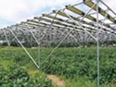 ソーラーシェアリング