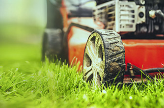 産業用太陽光除草サービス