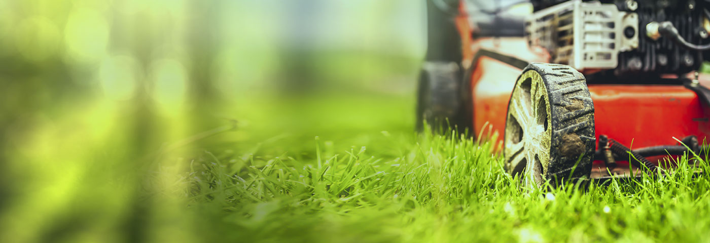 低圧～メガソーラーまで全国対応！電気工事士が行う除草サービス