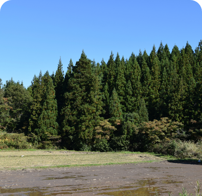 福島県二本松市